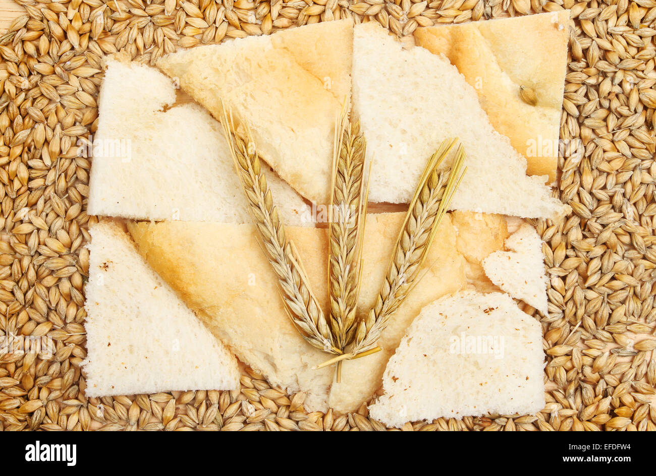 Barley ears on bread surrounded by wheat grains Stock Photo