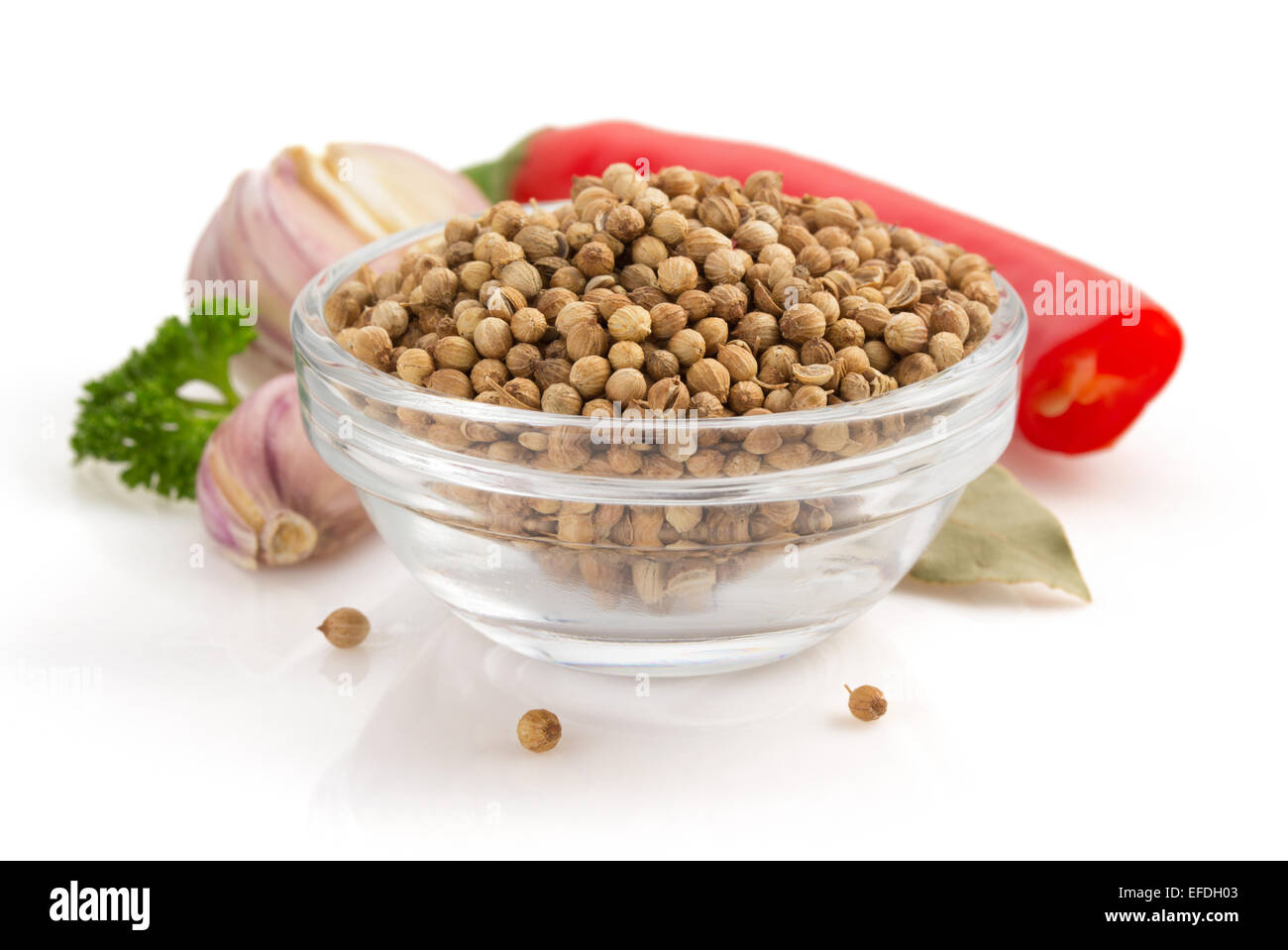 coriander spices isolated on white background Stock Photo Alamy