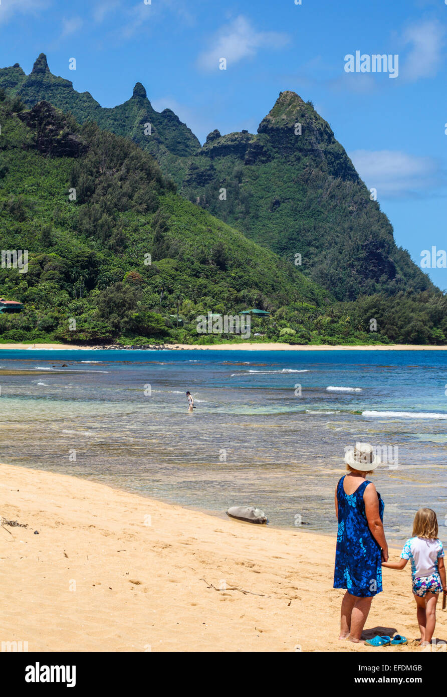 Beachgoers observe Hawaiian monk seal resting at shoreline at Tunnels