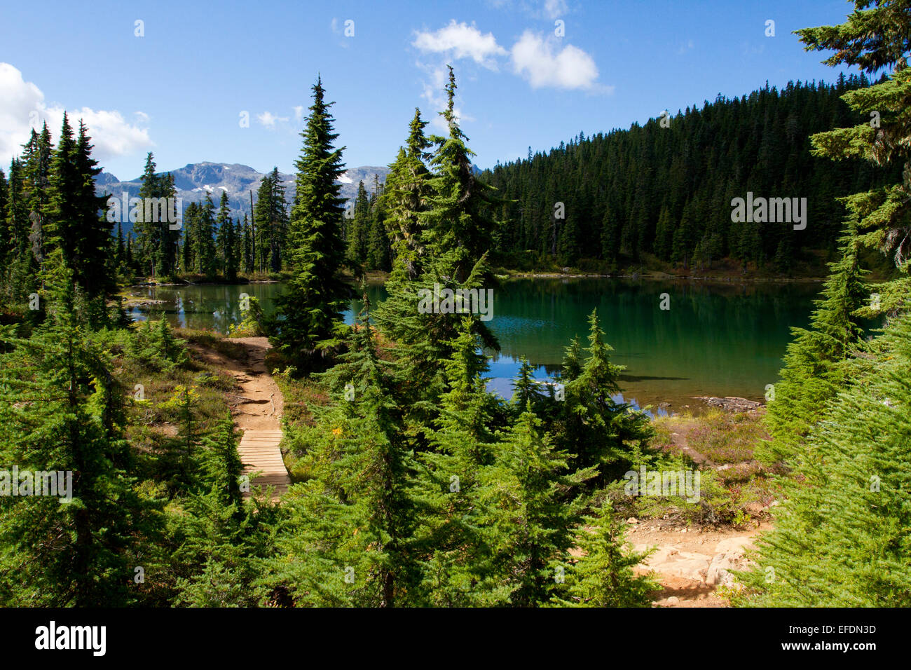Kwai Lake at the Forbidden Plateau, Strathcona Park, Vancouver Island, BC, Canada in September Stock Photo