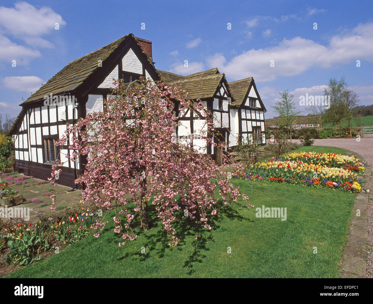 Timber framed Hayman House, Alderley Edge, Cheshire, England, United Kingdom Stock Photo