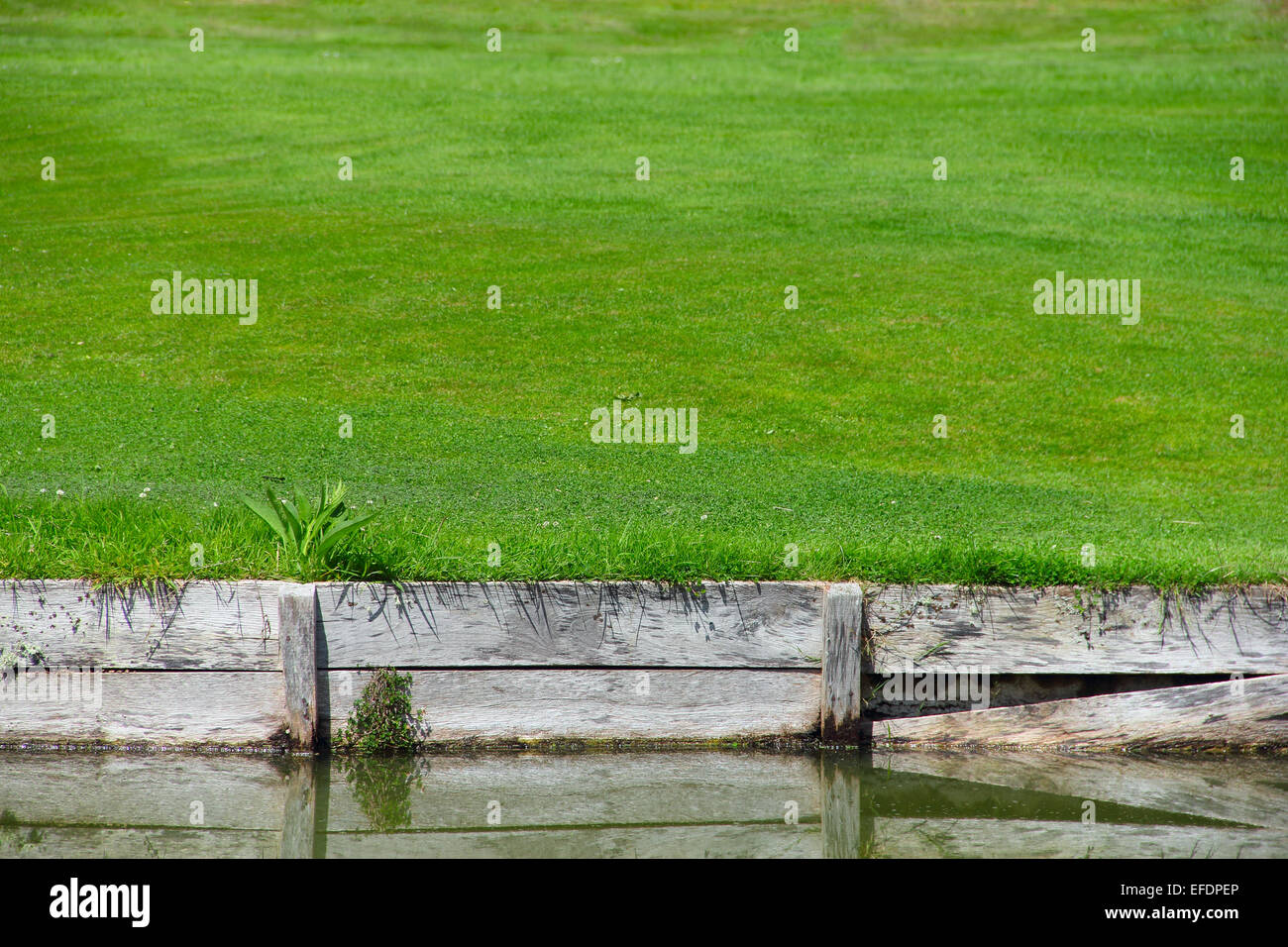 Background of green grass and wooden pond bank Stock Photo Alamy