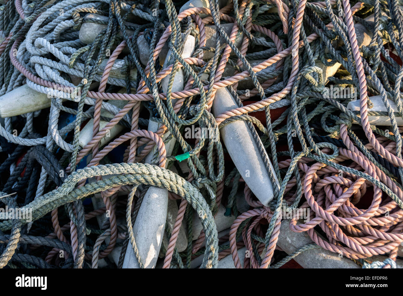 Tangled ropes hi-res stock photography and images - Alamy