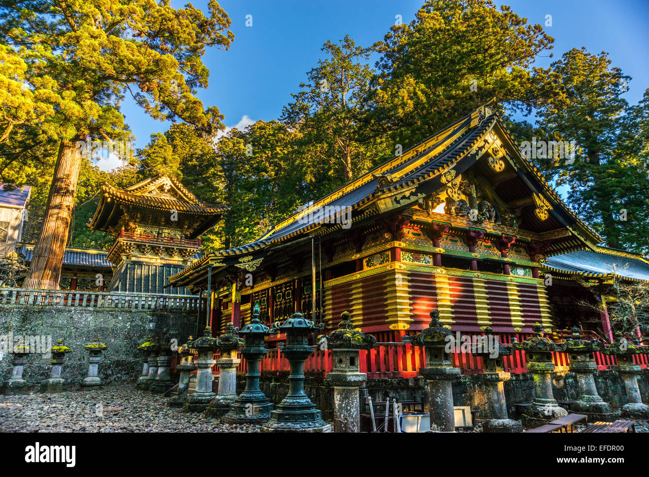 Toshogu Shrine at sunrise, Nikko, Japan. Stock Photo