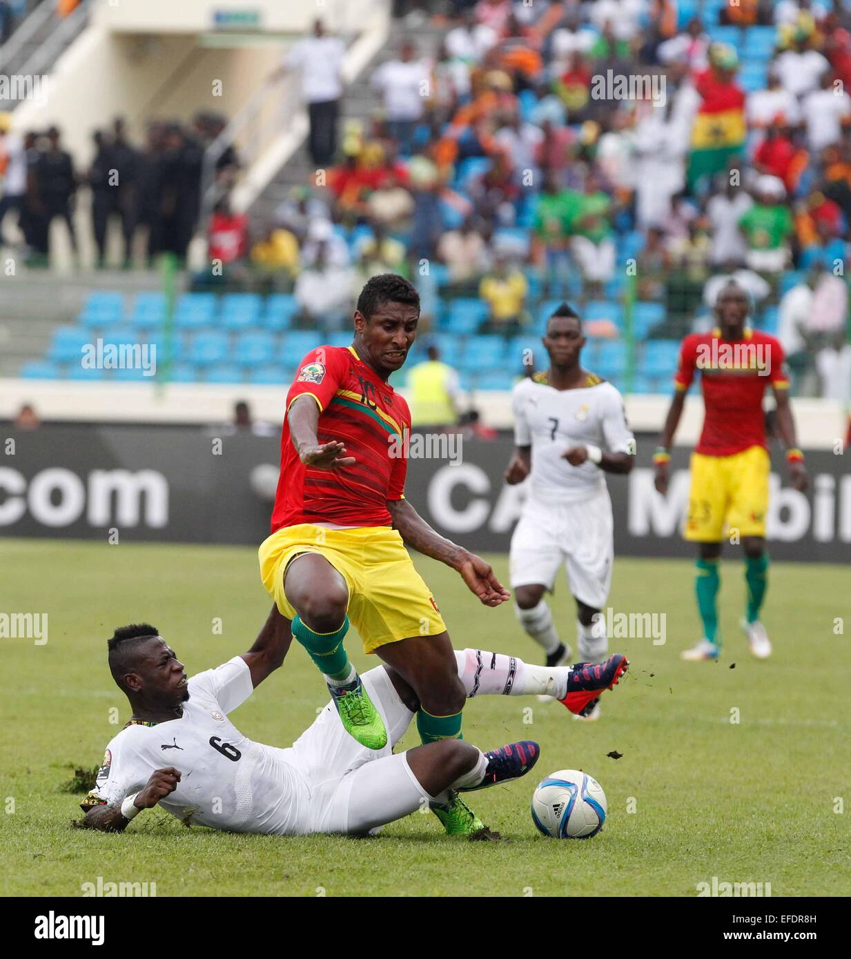 Malabo, Equatorial Guinea. 1st Feb, 2015. Kevin Constant of Guinea (R) vies with Afriyie Acquah of Ghana during a quarterfinal match of Africa Cup of Nations between Ghana and Guinea in Malabo, Equatorial Guinea, Feb. 1, 2015. Ghana won 3-0. Credit:  Li Jing/Xinhua/Alamy Live News Stock Photo