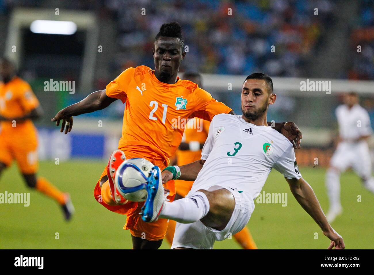 Malabo, Equatorial Guinea. 1st Feb, 2015. Faouzi Ghoulam (R) of Algeria vies with Eric Bertrand Bailly of Cote d'Ivoire during a quarterfinal match of Africa Cup of Nations in Malabo, Equatorial Guinea, Feb. 1, 2015. Cote d'Ivoire won 3-1. Credit:  Li Jing/Xinhua/Alamy Live News Stock Photo