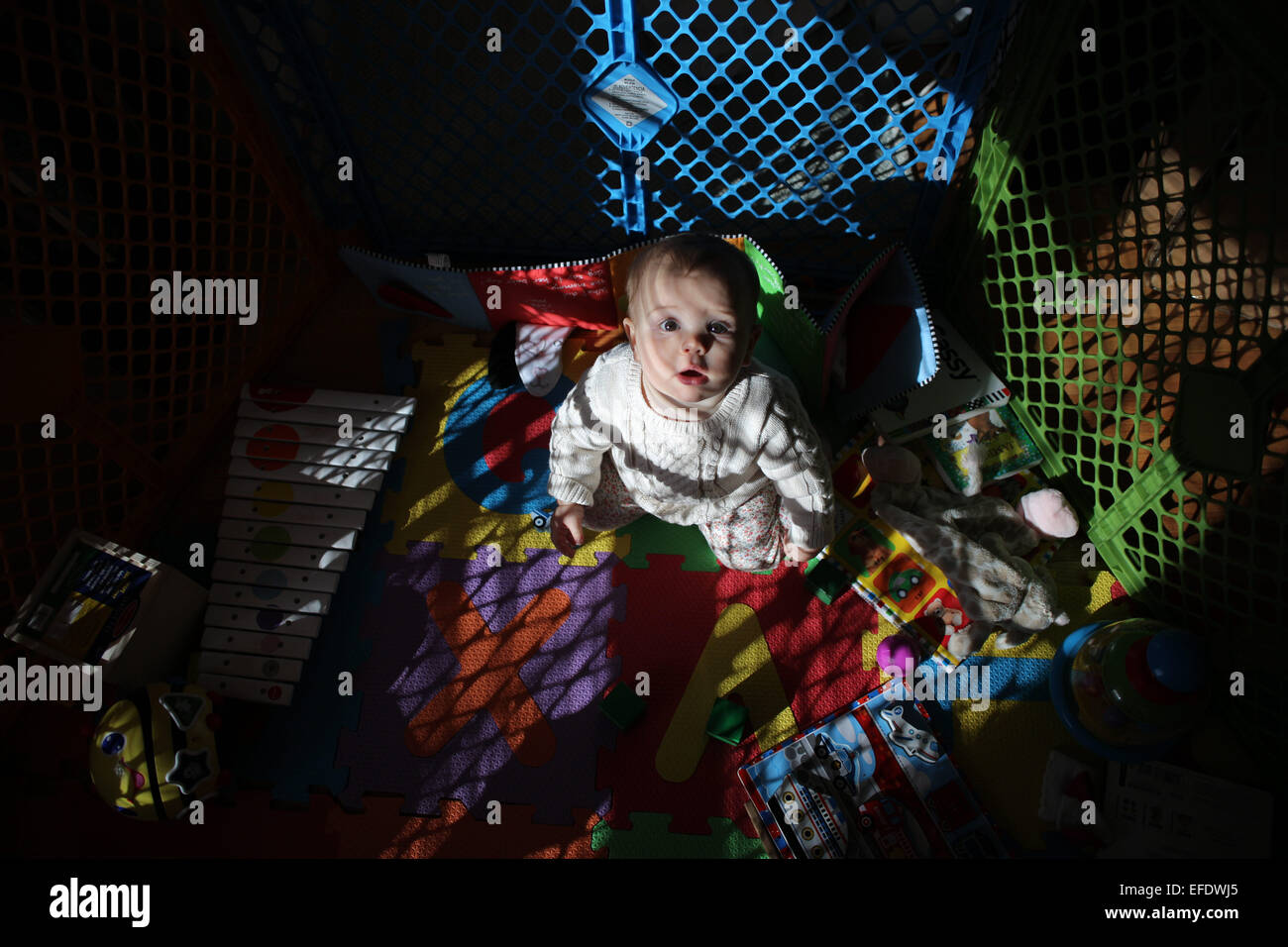 An eight month old baby girl at play in a play pen. Photo Tim Clayton
