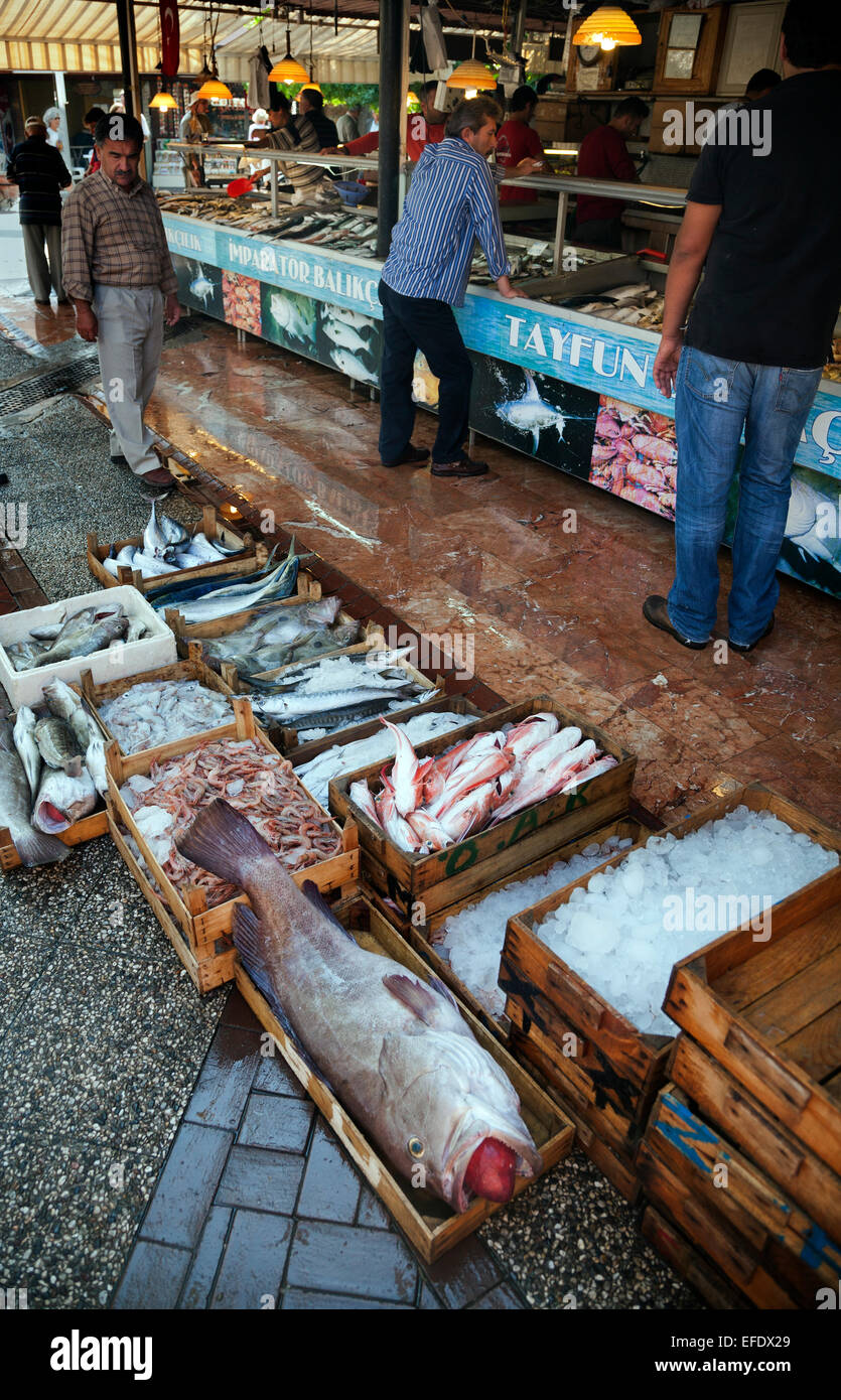Fish for sale in ice in wooden crates and boxes Turkish fish market Fethiye Turkey Stock Photo