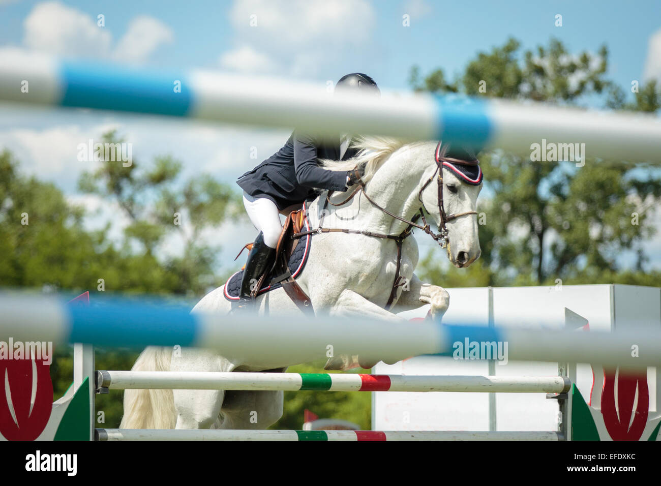 A rider on a sports horse jumping over an obstacle in equestrian competition Stock Photo