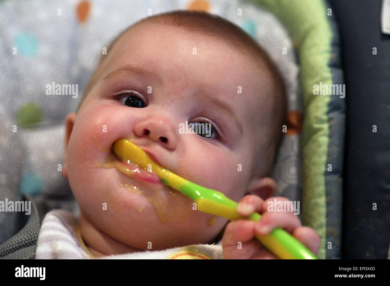 A nine month old baby girl eating at meal time Stock Photo Alamy