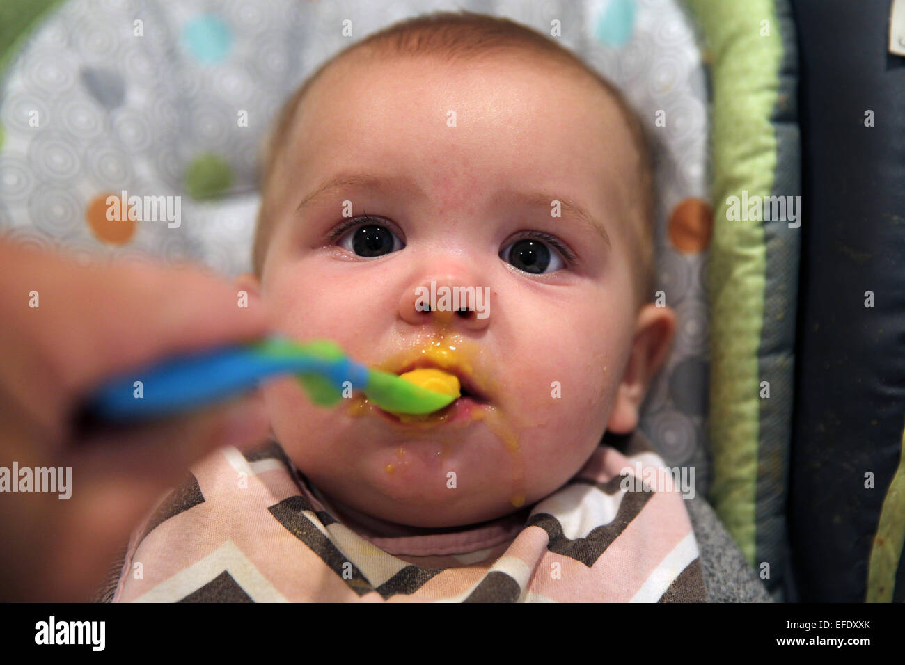 A nine month old baby girl eating at meal time Stock Photo Alamy
