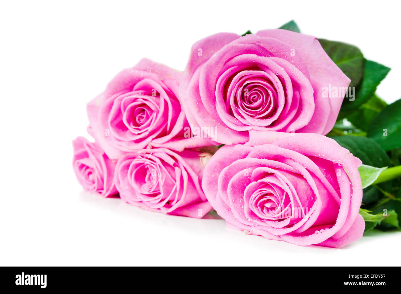 bouquet of pink roses isolated on white Stock Photo - Alamy