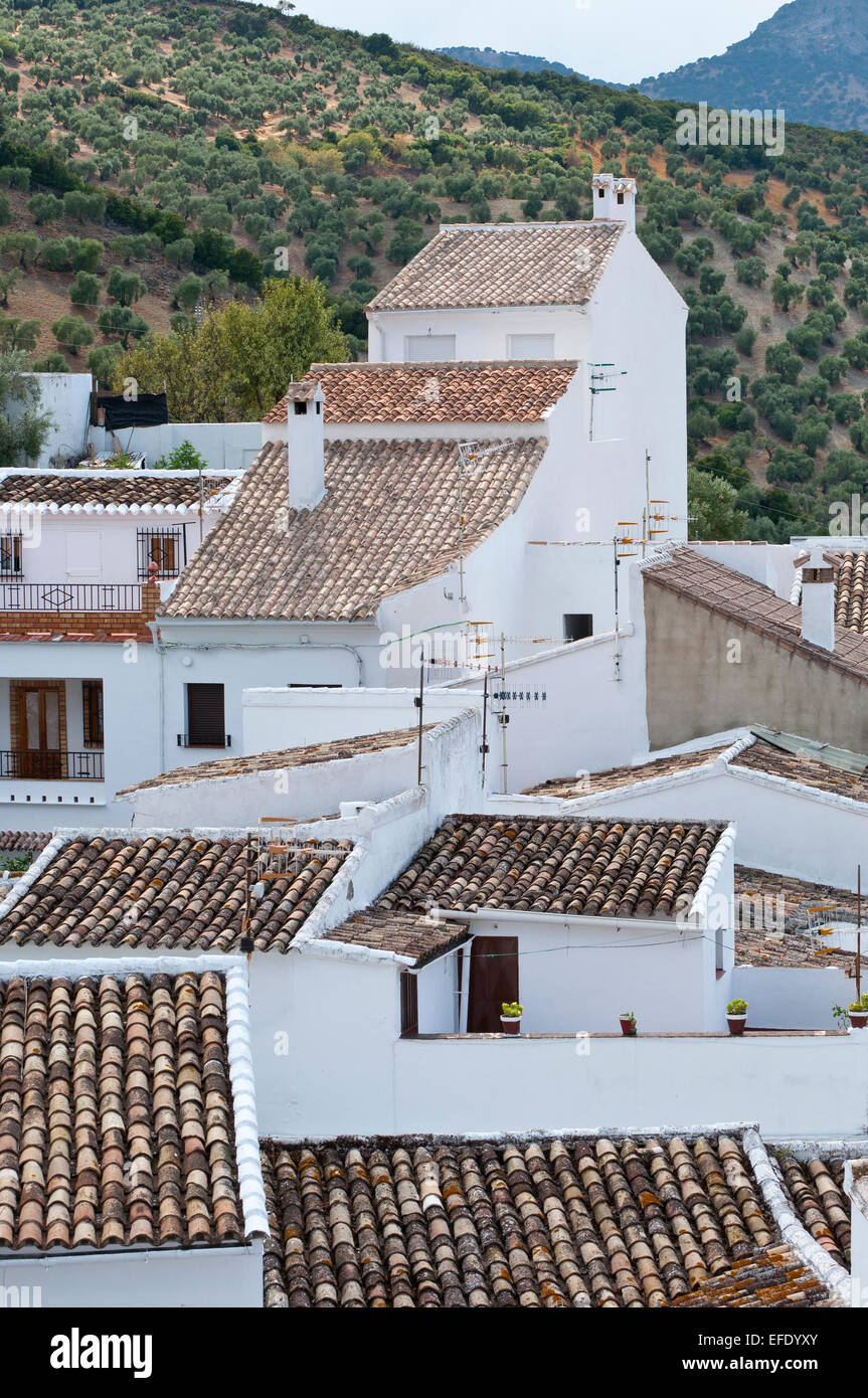 Traditional White houses in Zahara de la Sierra, Spain. This village is ...