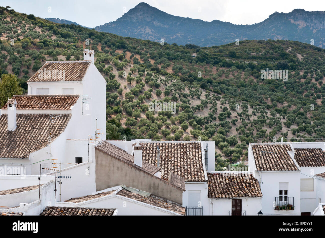 Traditional White houses in Zahara de la Sierra, Spain. This village is ...