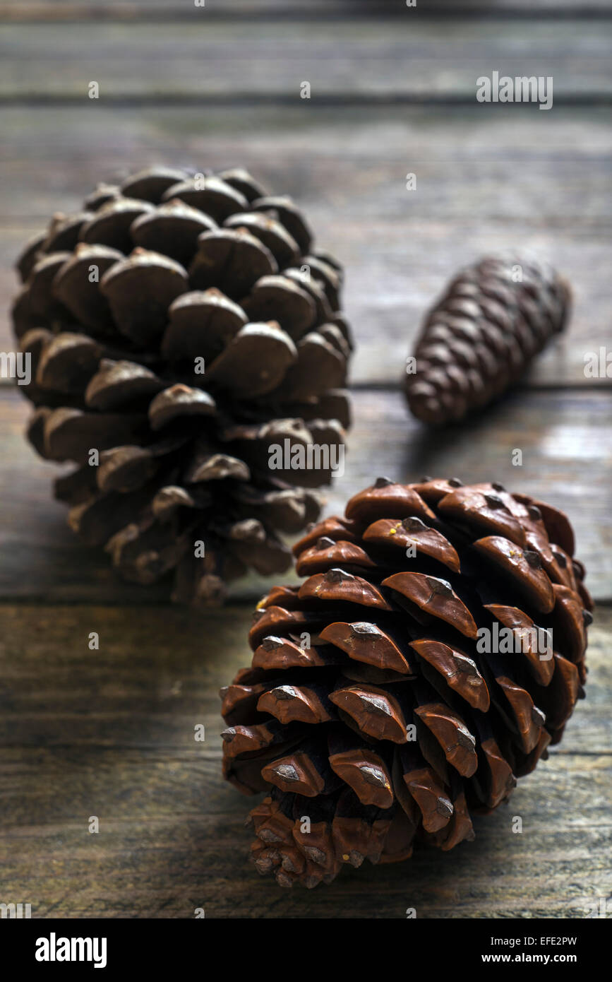 Pine Cone Set of 3