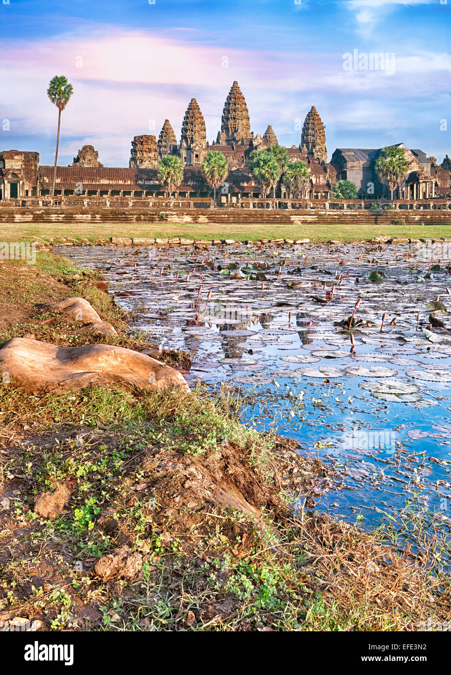 Angkor Wat temple reflecting in lake with flowers Stock Photo