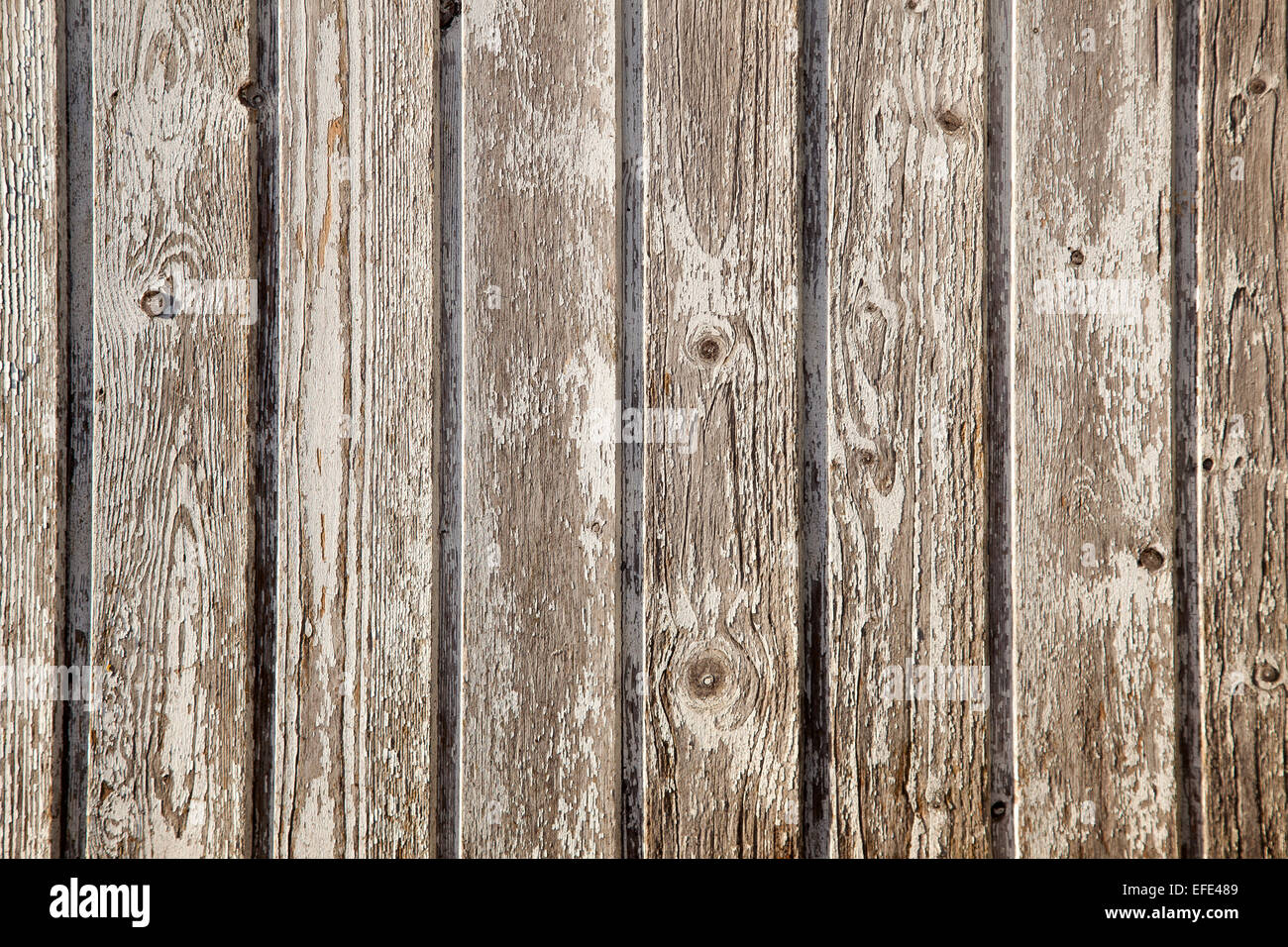 old planks of garden shed with peeling white paint Stock Photo - Alamy