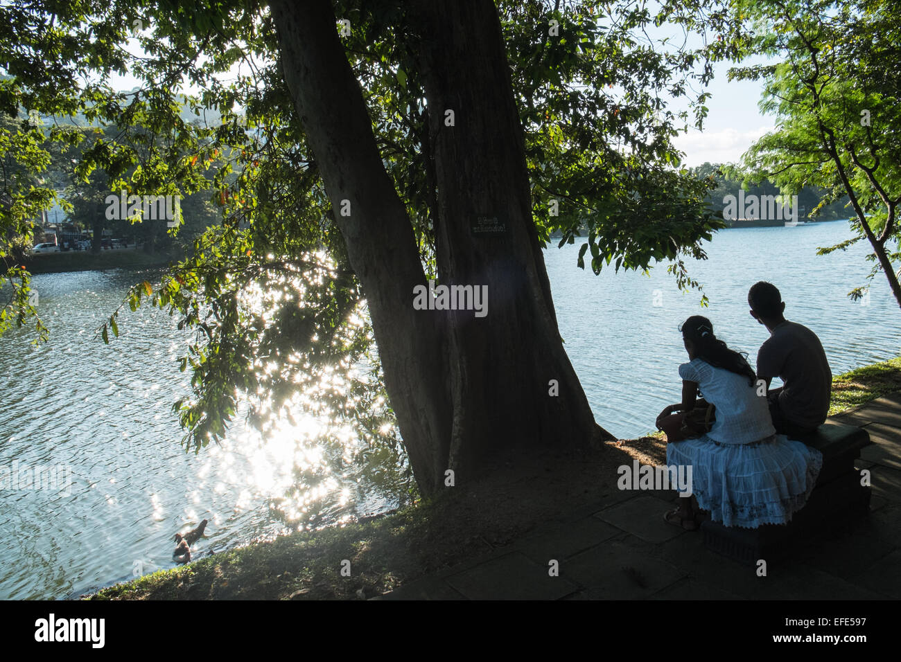 At lakeside.Next to Lake in Kandy,Sri Lanka.Couple. Stock Photo