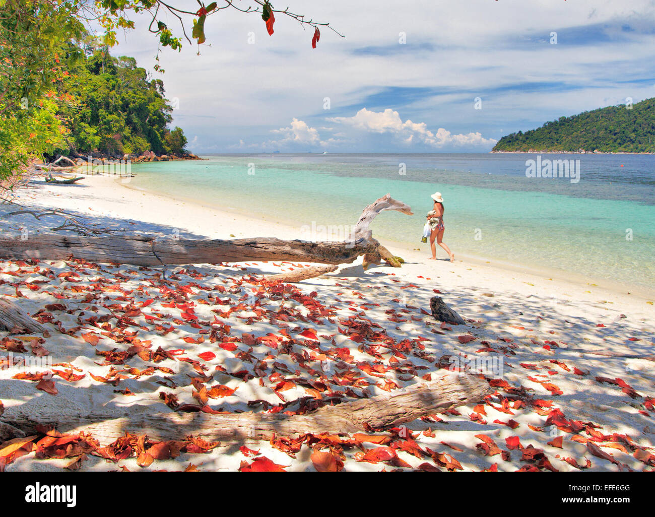 beautiful tropical beach with red leaves Stock Photo