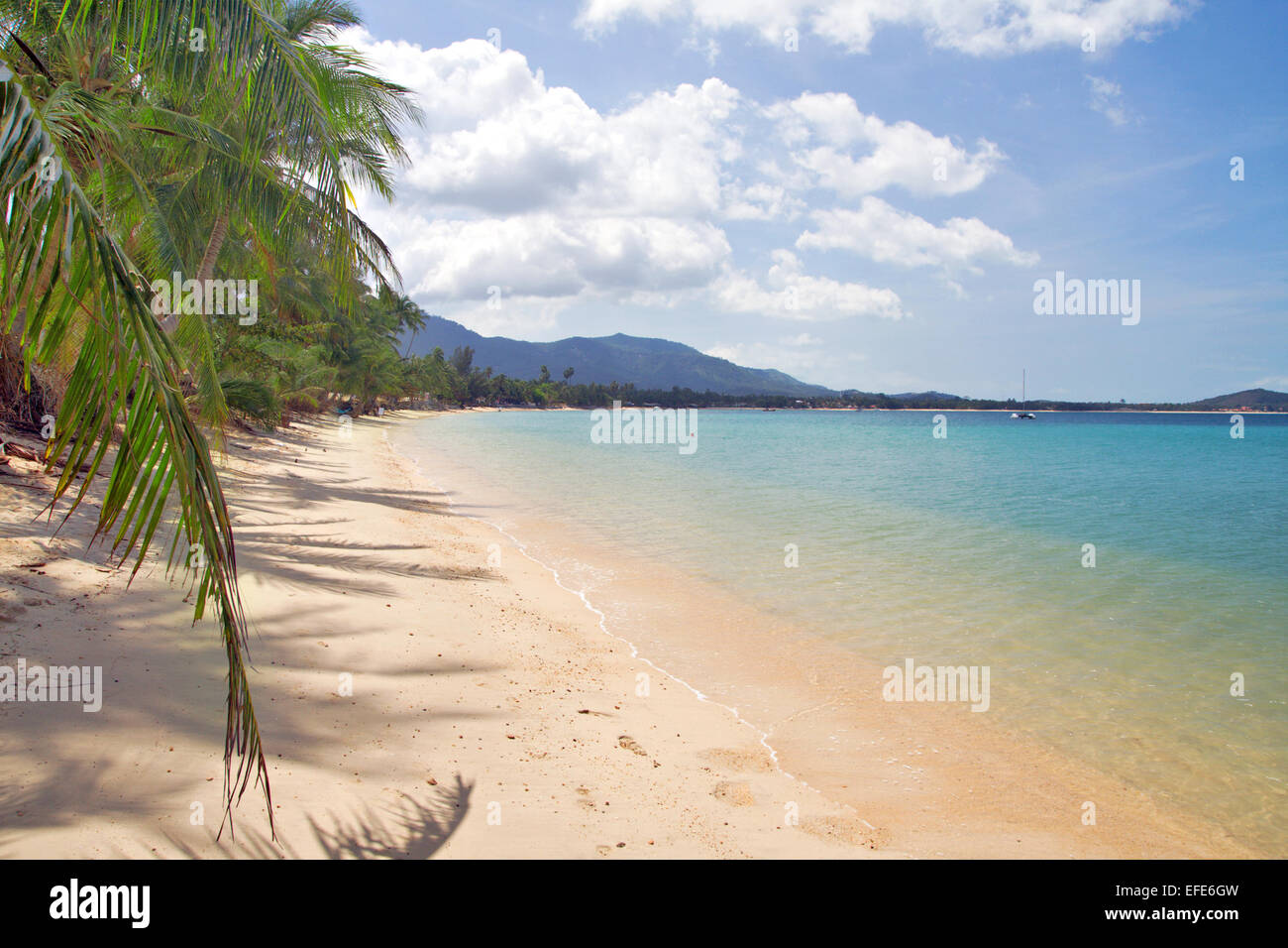 Hot weather tropical beach hi-res stock photography and images - Alamy