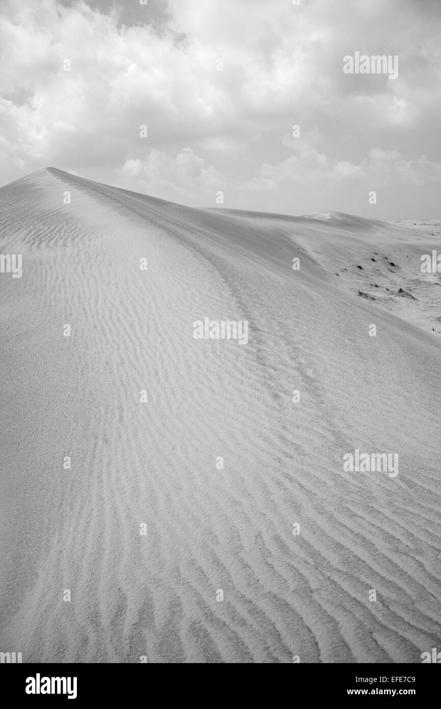 Sand dune in desert, Dubai, United Arab Emirates Stock Photo - Alamy