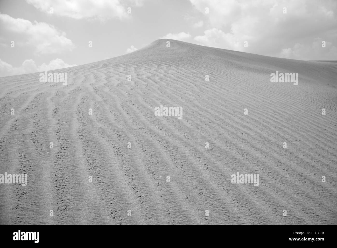 Sand dune in desert, Dubai, United Arab Emirates Stock Photo - Alamy