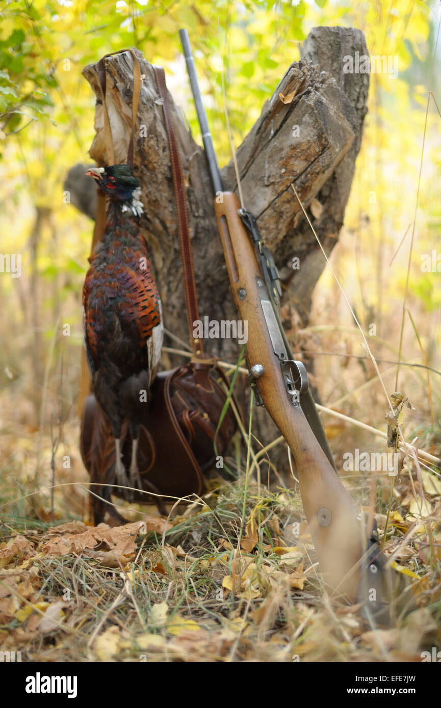 Very old hunting rifle and a pheasant Stock Photo