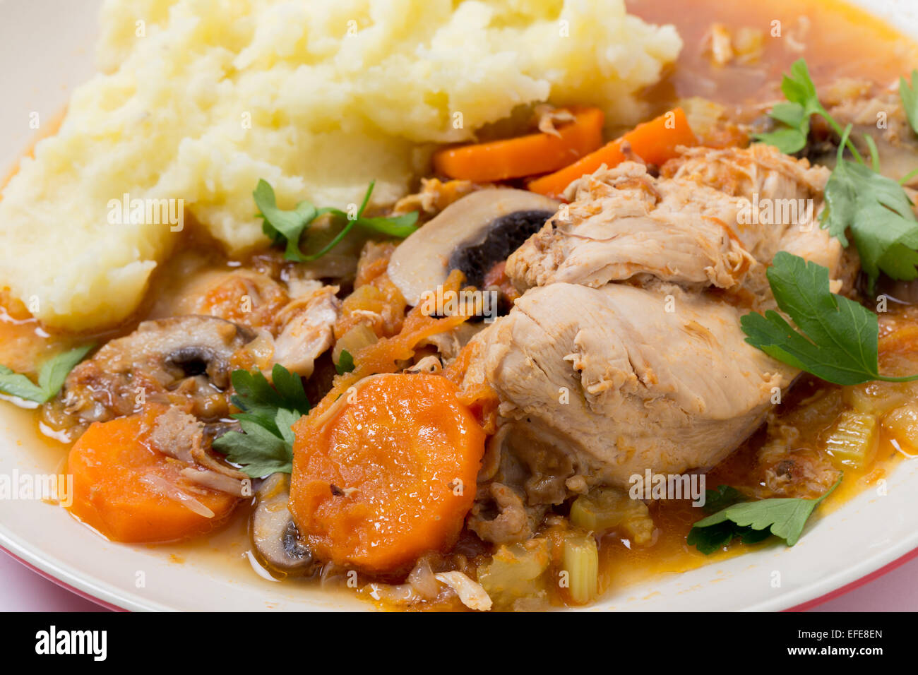 A meal of chicken cacciatore, braised chicken cooked with tomato