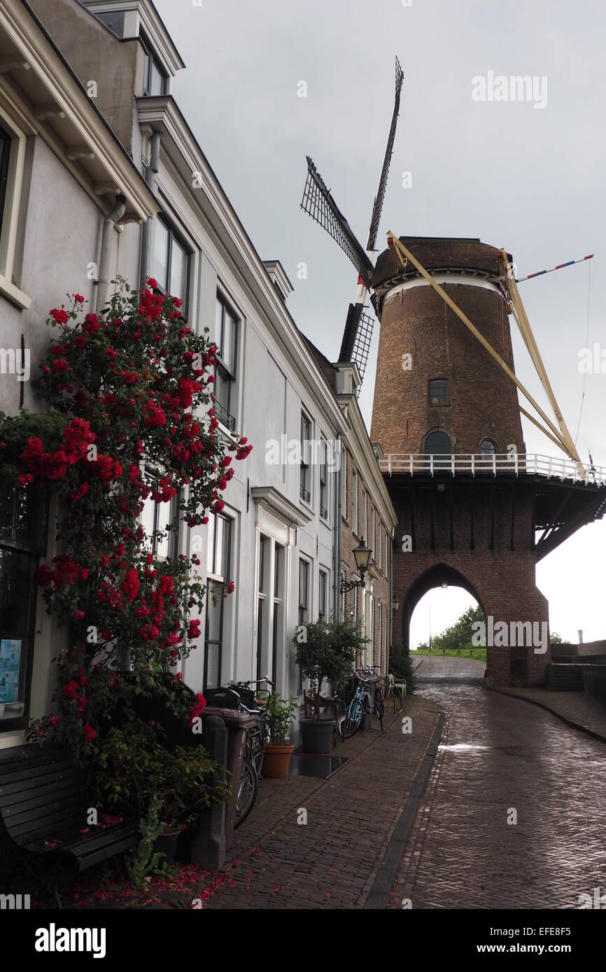 A row of white Dutch houses and a drive through windmill. Stock Photo