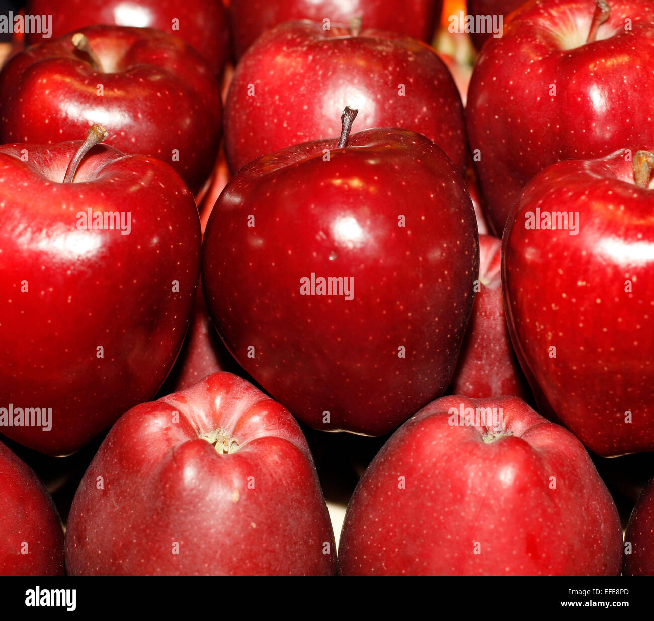 Fresh red apples on the farmers market as a background Stock Photo - Alamy