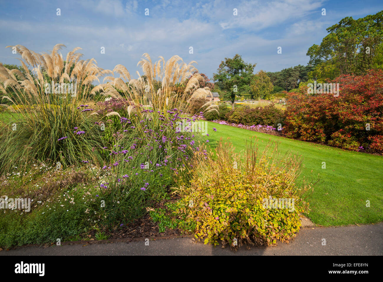 Autumn Ness Botanic Gardens, Wirral, Neston, Cheshire, uk Stock Photo