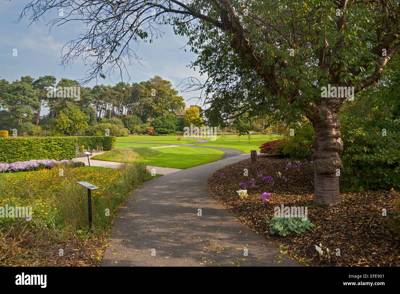 Autumn; Ness; Botanic; Gardens; Wirral; Neston; Cheshire; UK; England; Uk Stock Photo