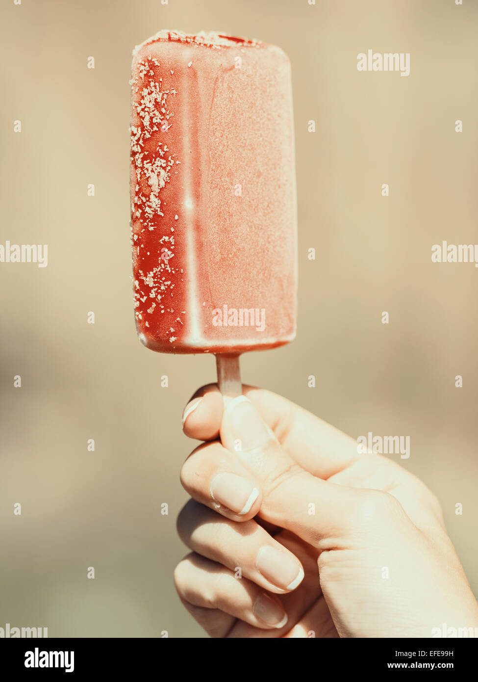 Tasty Homemade Ice Creams Pop With Sticks In Containers On Grey Stock  Photo, Picture and Royalty Free Image. Image 106122906.