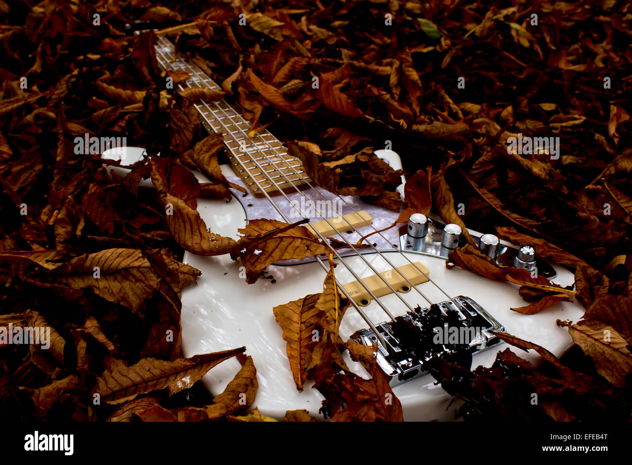A Bass Guitar In Autumn Leaves Stock Photo Alamy
