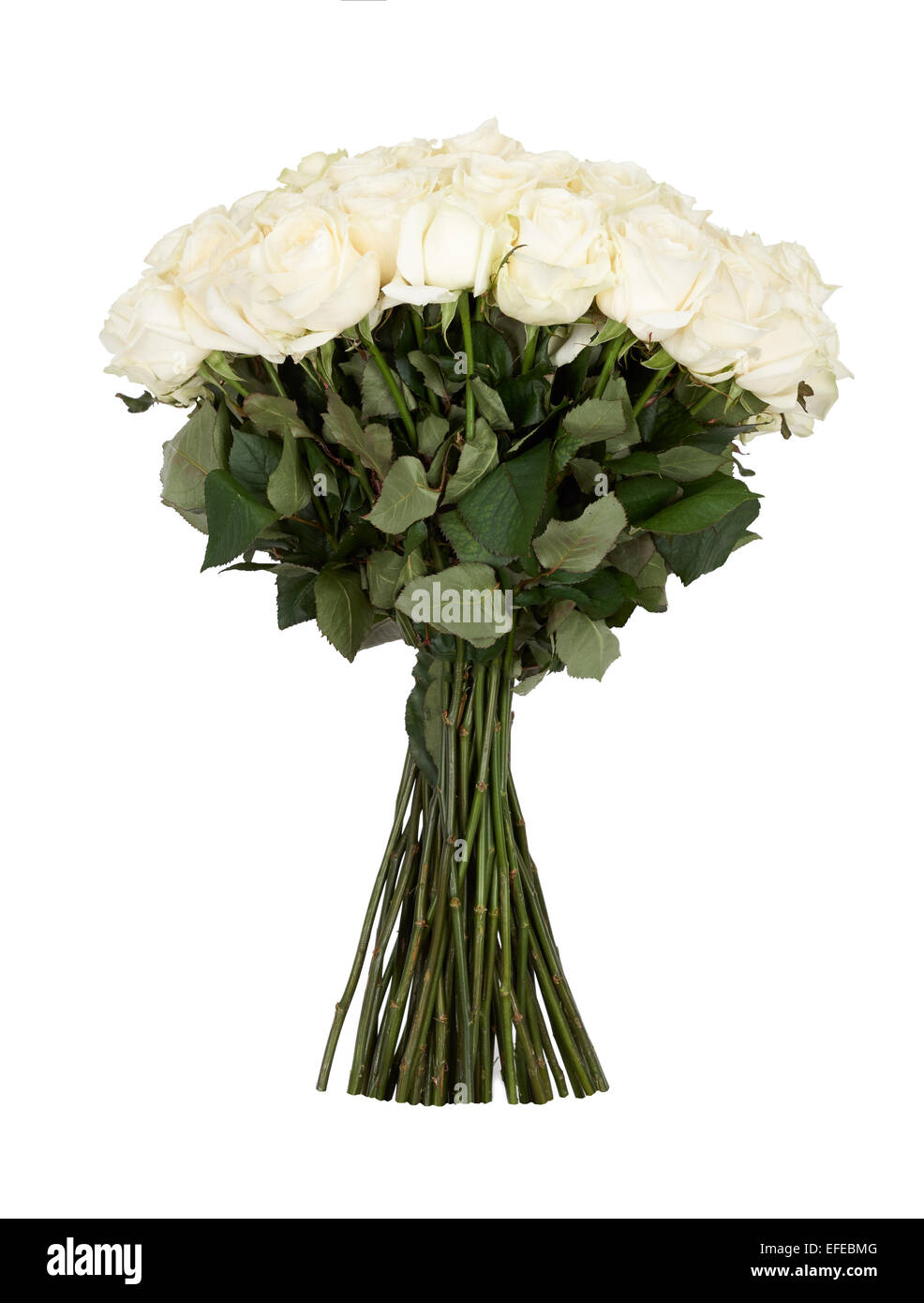 Bunch of white roses isolated over white Stock Photo - Alamy