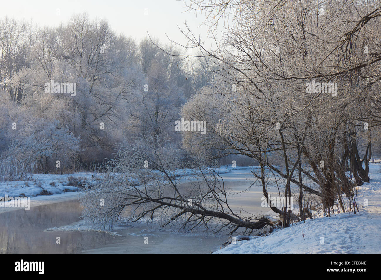 Winter landscape with fallen tree over the river Stock Photo Alamy