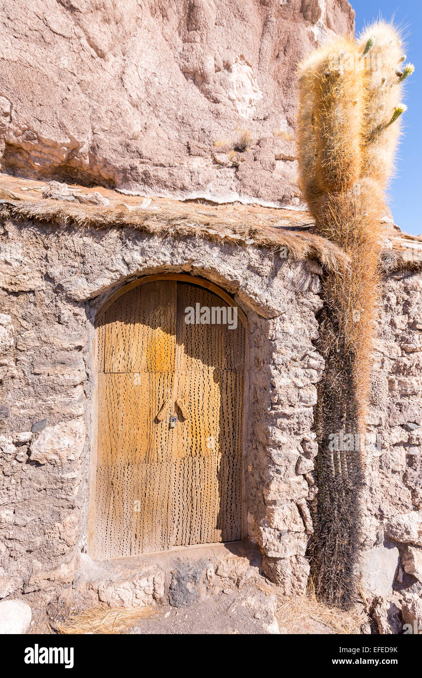 A door made out of dead cacti at Isla Incahuasi, Salar de Uyuni salt flat, Altiplano, Bolivia, South America Stock Photo