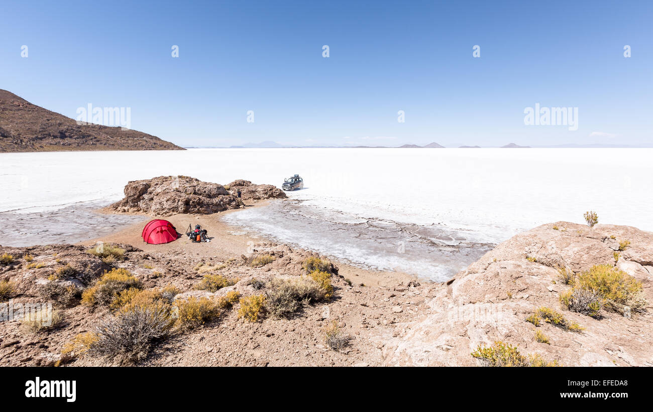 Isla Pescado, Salar de Uyuni salt flat, Altiplano, Bolivia, South America Stock Photo