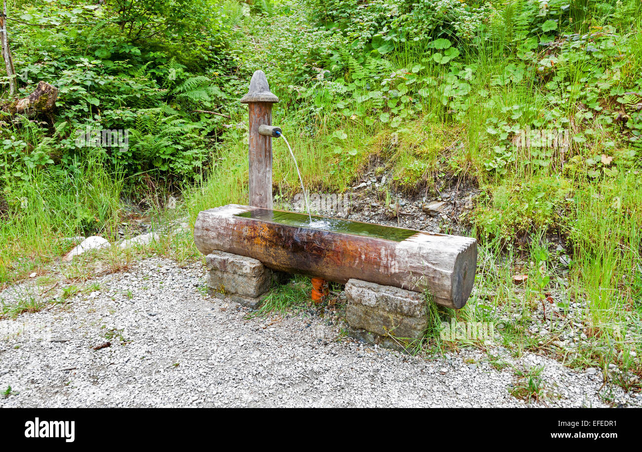 A water trough next to the path to the top of the Schmittenhöhe Zell am See Austria in summer trees wood forest Stock Photo