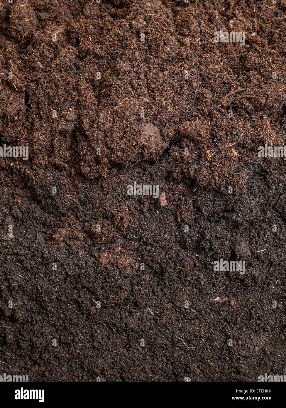 Cross-section of garden soil Stock Photo