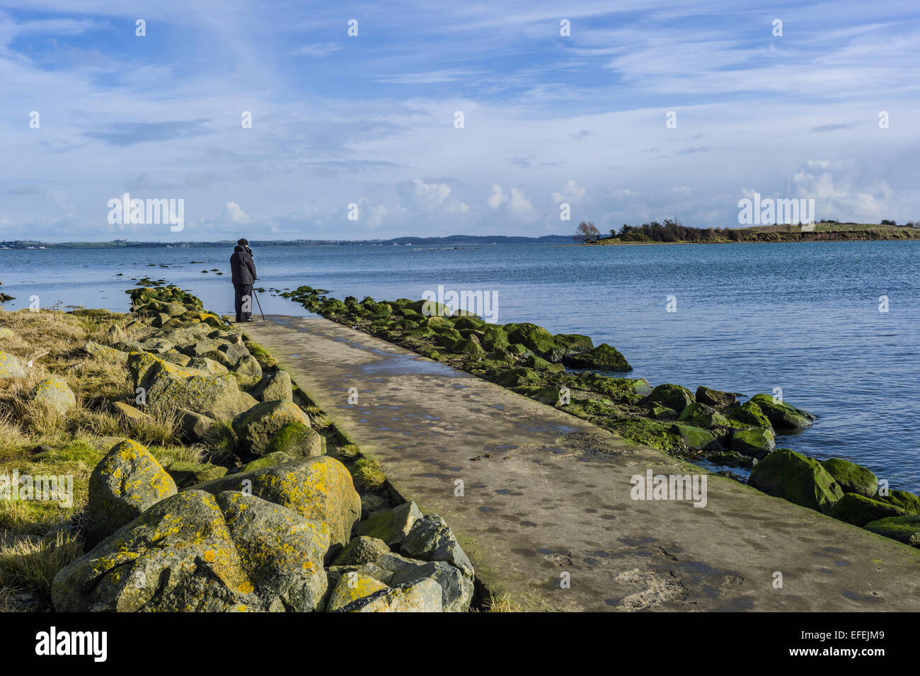 The path to Island Hill is cut off by the rising tide, the path is slowly submerged, one sole person stands to observe. Stock Photo