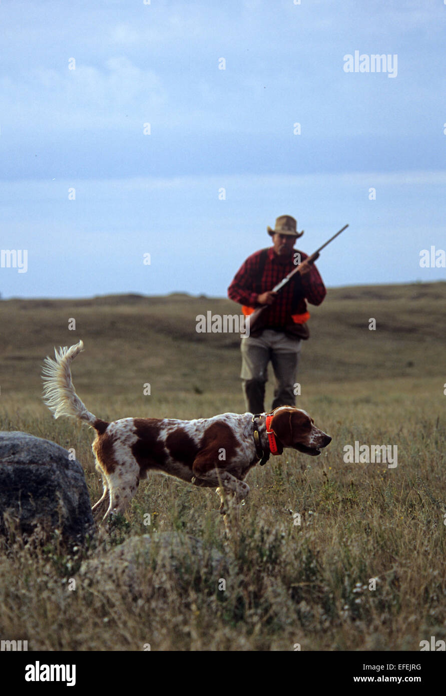 Pheasant hunter hires stock photography and images Alamy