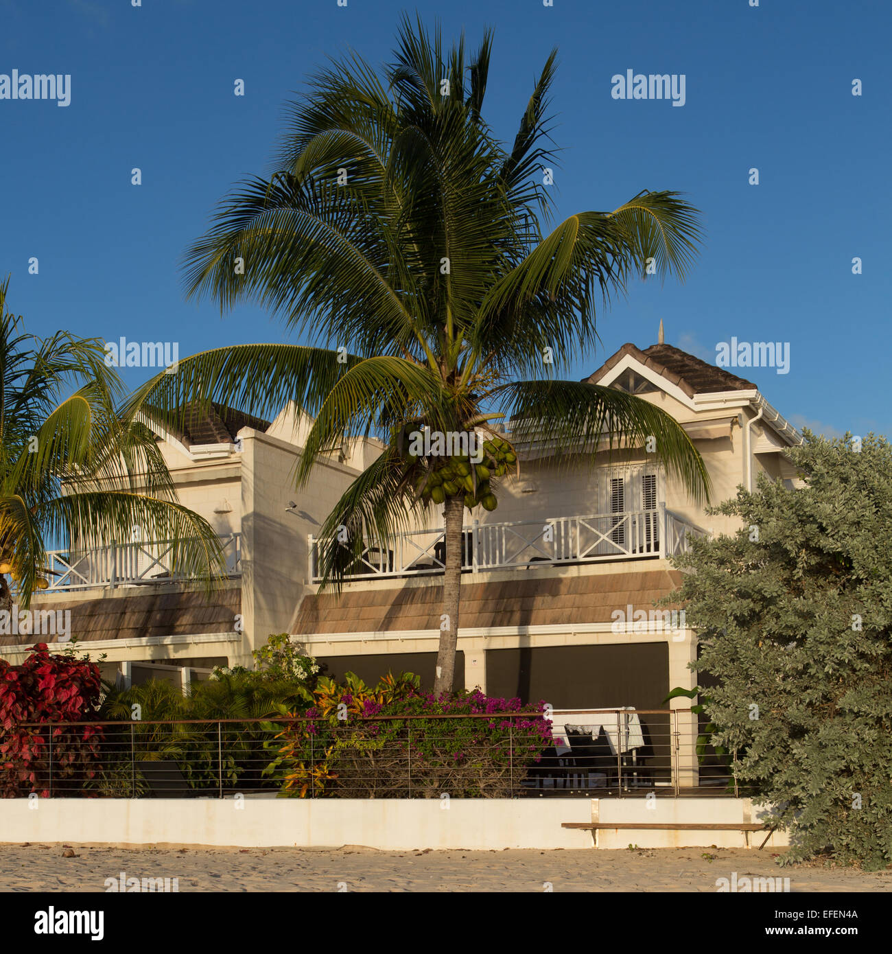 Barbados beach villa with palm tree and blue sky Stock Photo Alamy