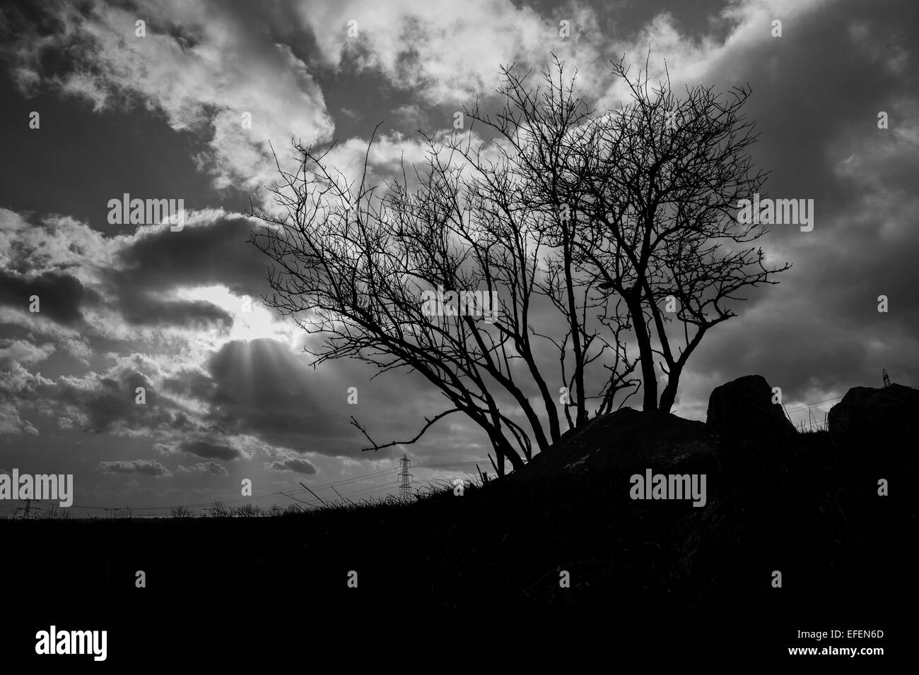 Cleppa Park Burial Chamber, a ruined Neolithic Tomb in the Severn Cotswold style. Stock Photo