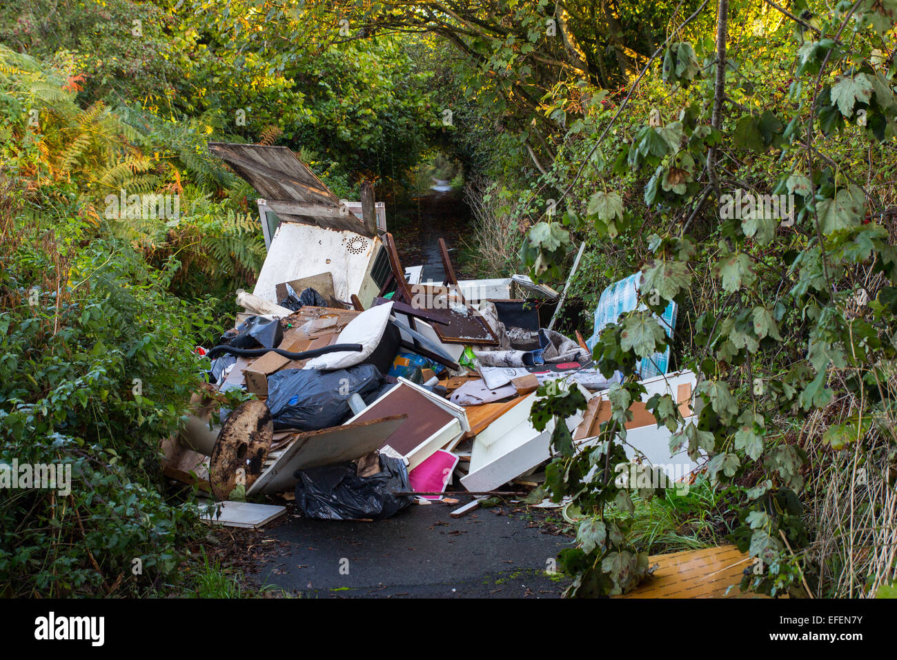 Fly tipping site in Cardiff. Stock Photo