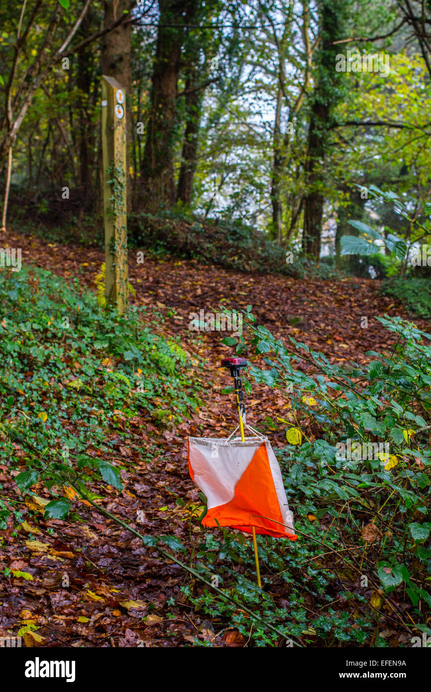 Orienteering markers in woodland hires stock photography and images