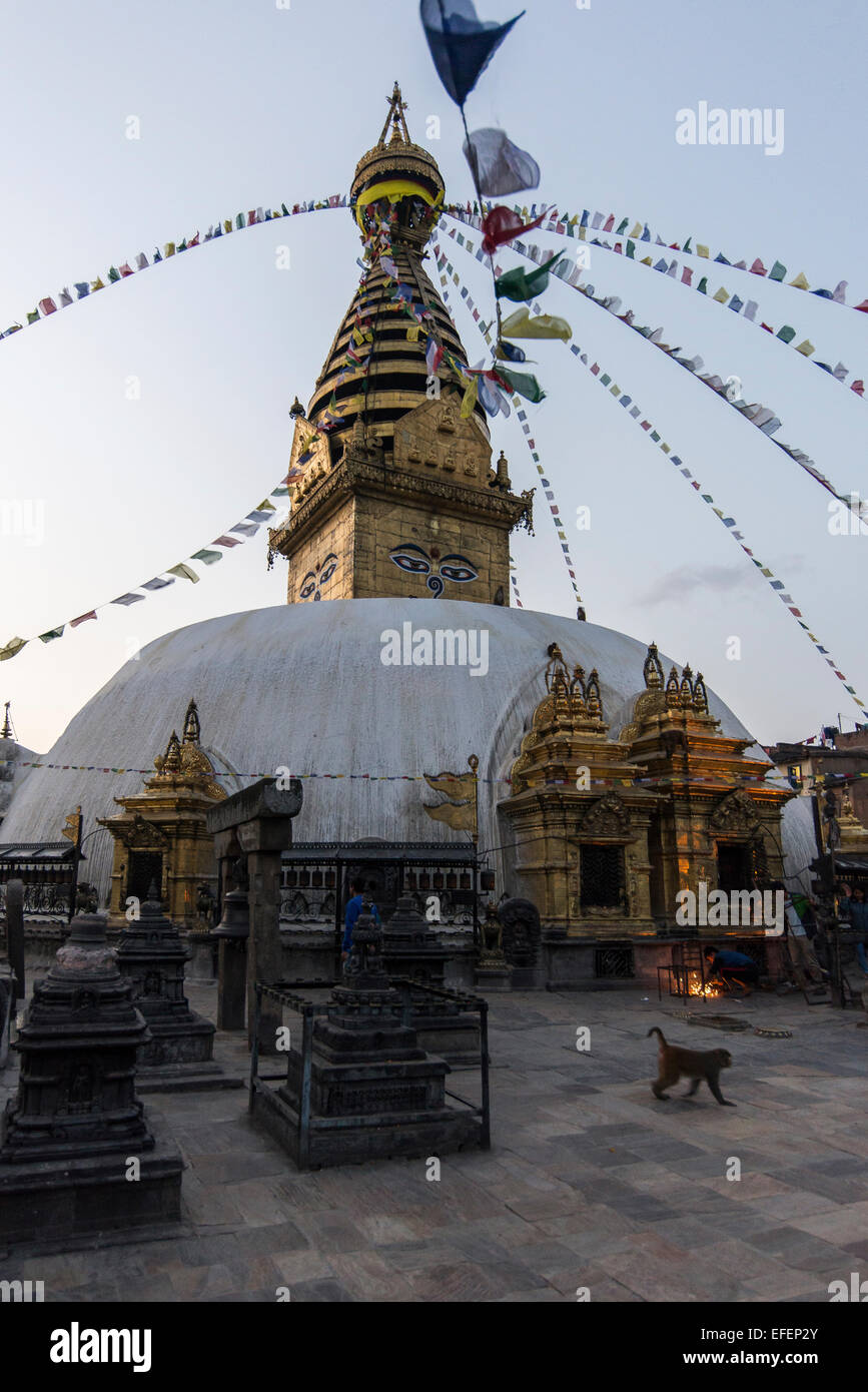 Monkey temple in Nepal Stock Photo