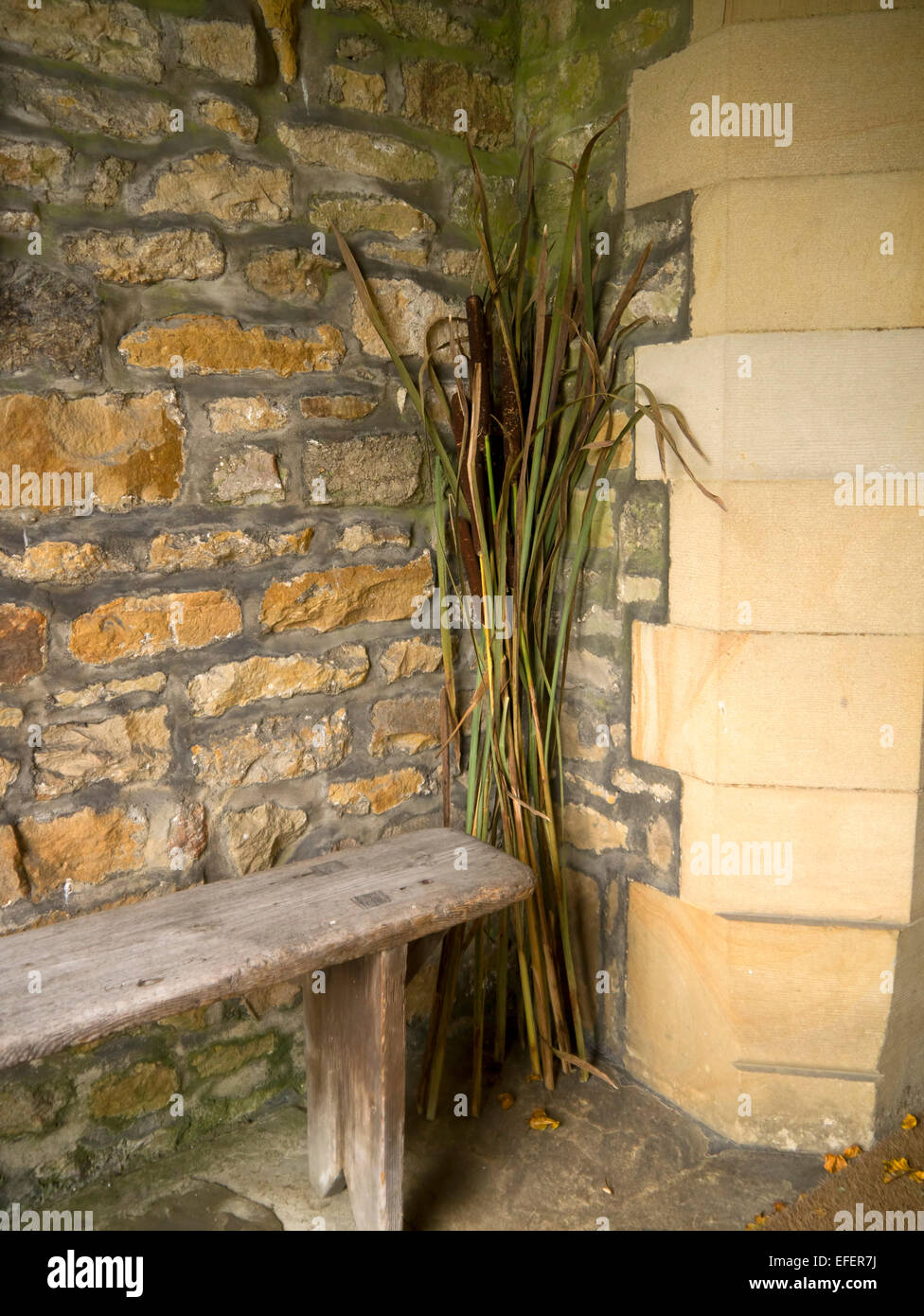 Palm leaves ready for Easter Stock Photo - Alamy