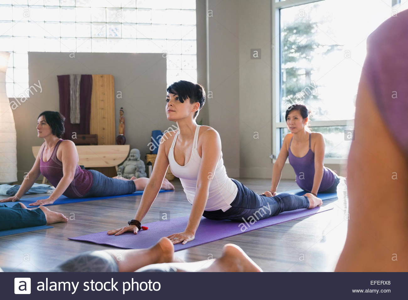 Women practicing upward facing dog pose yoga class Stock Photo
