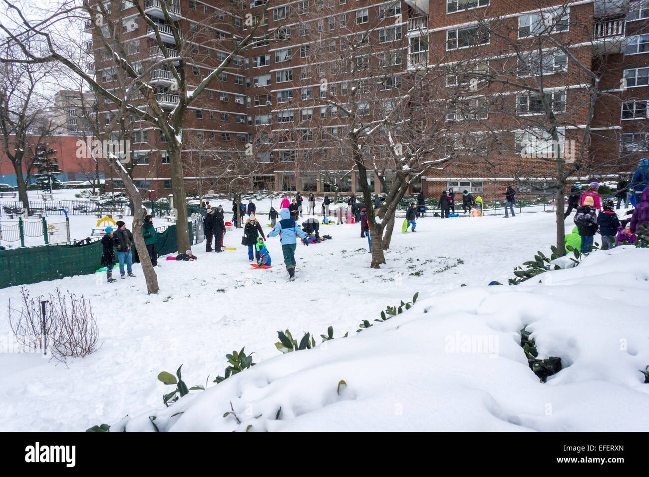 Families take advantage of a snow day in the Chelsea neighborhood of New York by sledding down a hill in the Penn South housing cooperative on Tuesday, January 27, 2015. The traffic ban has been lifted and the subways are returning to operation after being shut down in anticipation of a major blizzard. Although Long Island and Connecticut were hammered there was only eight inches of snow recored in Central Park.  (© Richard B. Levine) Stock Photo